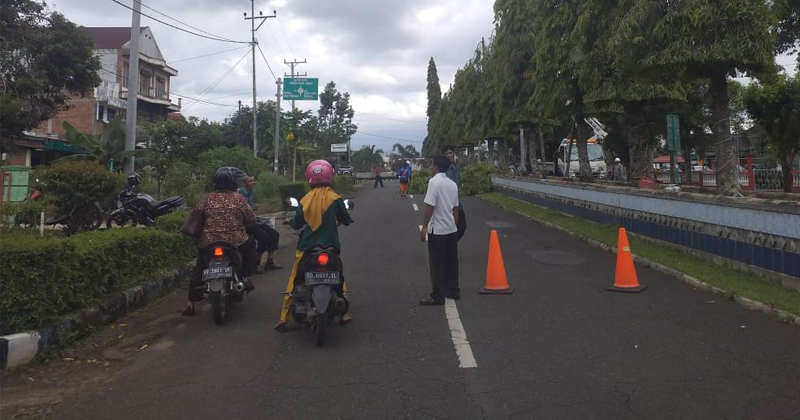 Pemangkasal pohon Jalur protokol
