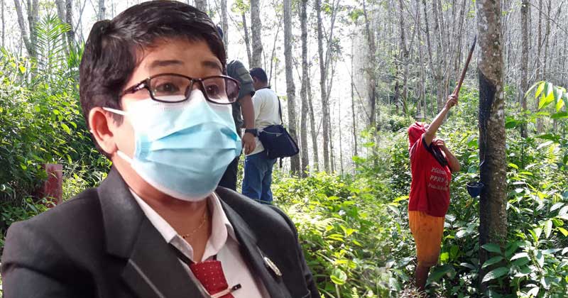 Ketua-DPRD-BU-Sonti-Bakara-Kecam-Patok-Aset-negara-lahan-milik-Pemkab-bengkulu-Utara-yang-di-panen-dugaan-penjarahan-oleh-pihak-PT-Pamor-Ganda